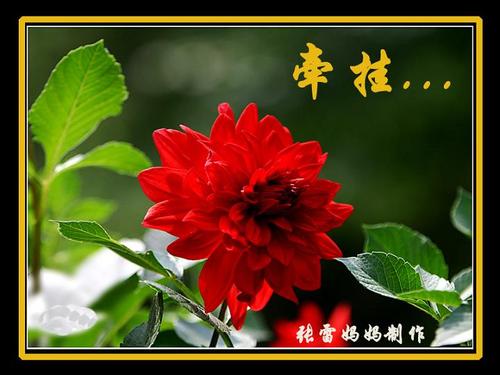 关心