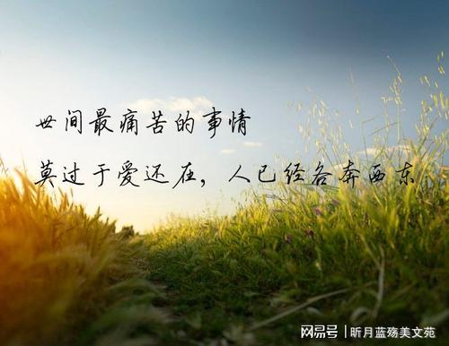 你是我最关心的人_1200字