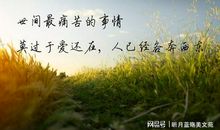 你是我最牵挂的人_1200字