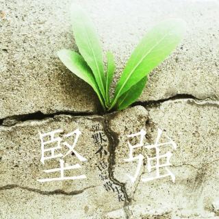 强烈的泪水_1200字
