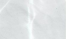 白色的纯洁_550字