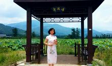 ［每日天气］池上雨碎花繁落_750字