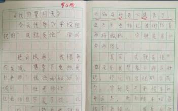 我们的周末_100字