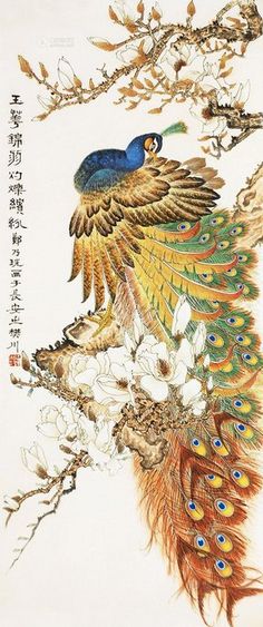 凤凰和孔雀_550字