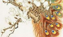 凤凰和孔雀_550字