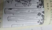 这段木头里一定有虫_900字