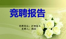 一个英语小组长的责任_400字