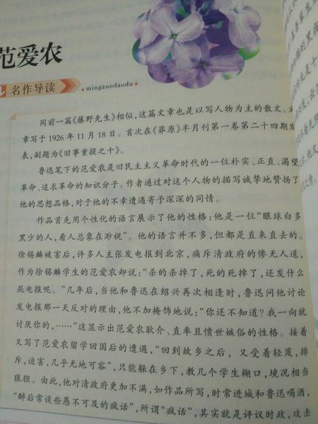 感觉漂亮_450字