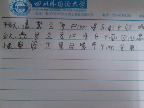 我是一个小草_450字