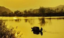 听啄木鸟的哀鸣_650字