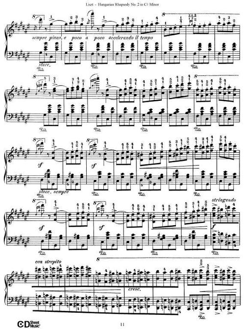 匈牙利伟大的音乐家读书_700字