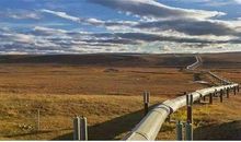 谁的功劳大_600字