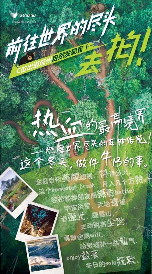 孟三王时期主管第1章梦想_2000字