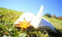 生命因残缺而美丽_600字