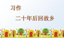 二十年后回家乡_900字