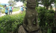 [2016期末征文]你在绿芜中，隐蔽光辉_800字