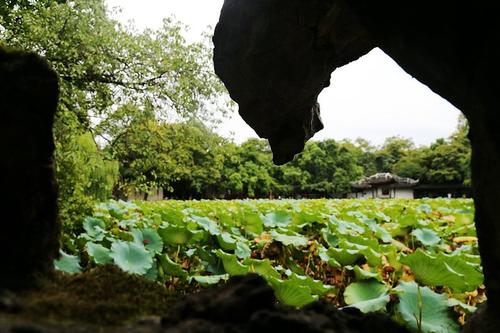 美丽的后花园_1500字