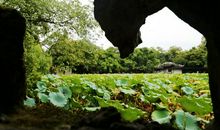 美丽的后花园_1500字