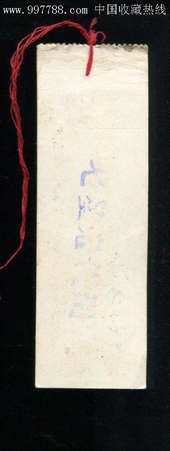 旅游coflute _800字