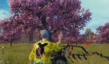 我们的朋友树林_500字