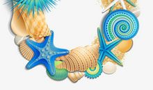 美丽神奇的贝壳_650字