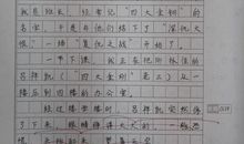 记一次“手拉手”活动_500字