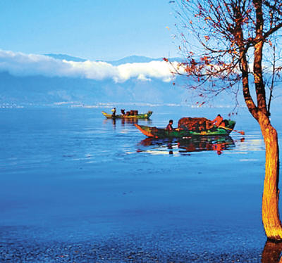 路边风景_400字