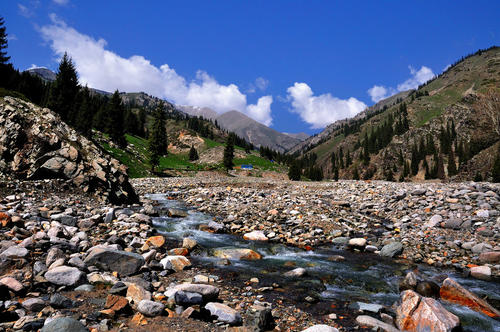 新疆的风景“Alshipi”_550字