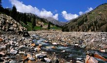 新疆“阿尔夏提”的风景_550字