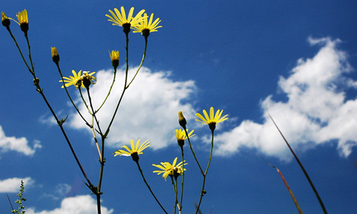 春天_550内存中的单词