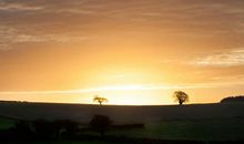 乡村的早晨_550字