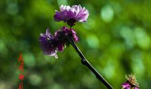 [2016期末征文]走吧，你看阳光正好_900字