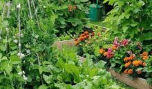 [2016期末征文]我有一个梦想_1000字