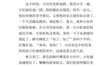 我最喜爱的电脑_300字