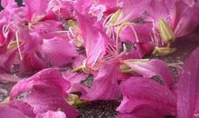 飘想雨中_1200字