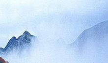 白茫茫的雾_500字