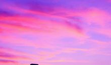 美丽的火烧云_450字