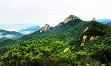 森林的报复_550字