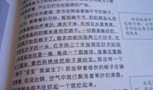 高一期末考试作文：家乡的端午节_450字