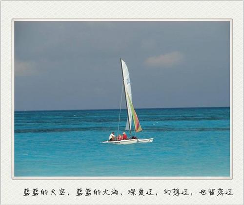 海洋的幻想_550字