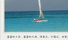 大海的幻想_550字