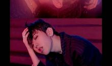 轻轻的舞蹈_700字