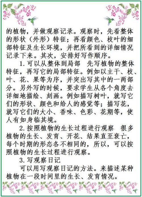 高中试验组成：我的家人（3）_900字