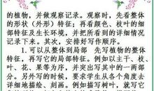 高一期末考试作文：我的一家（三）_900字