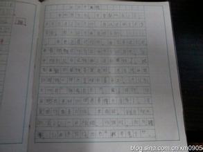 高中测试组成：我的自画像（3）_700字