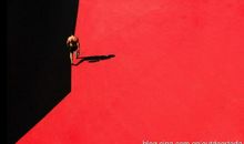 生命的色彩_1000字