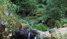 余杭有个“山沟沟”_550字