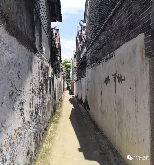 胡同年_1000字