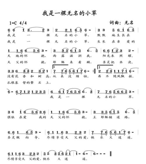 我是一个小草_200字