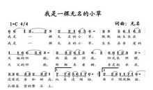 我是一颗小草_200字